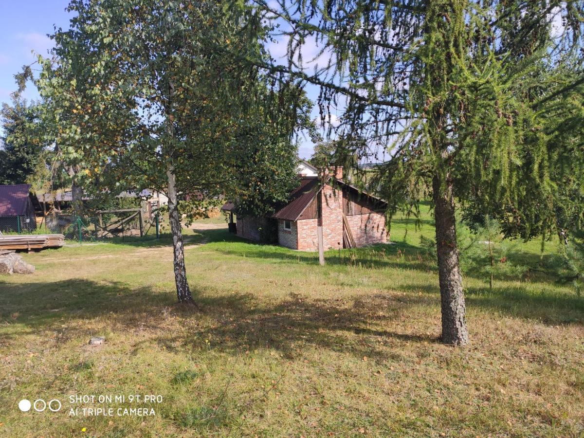 Dzika Zagroda Dziemiany Extérieur photo