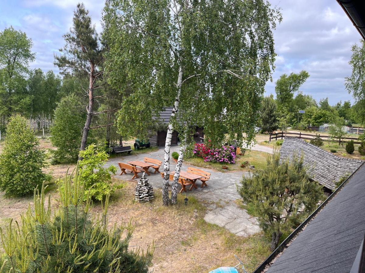 Dzika Zagroda Dziemiany Extérieur photo