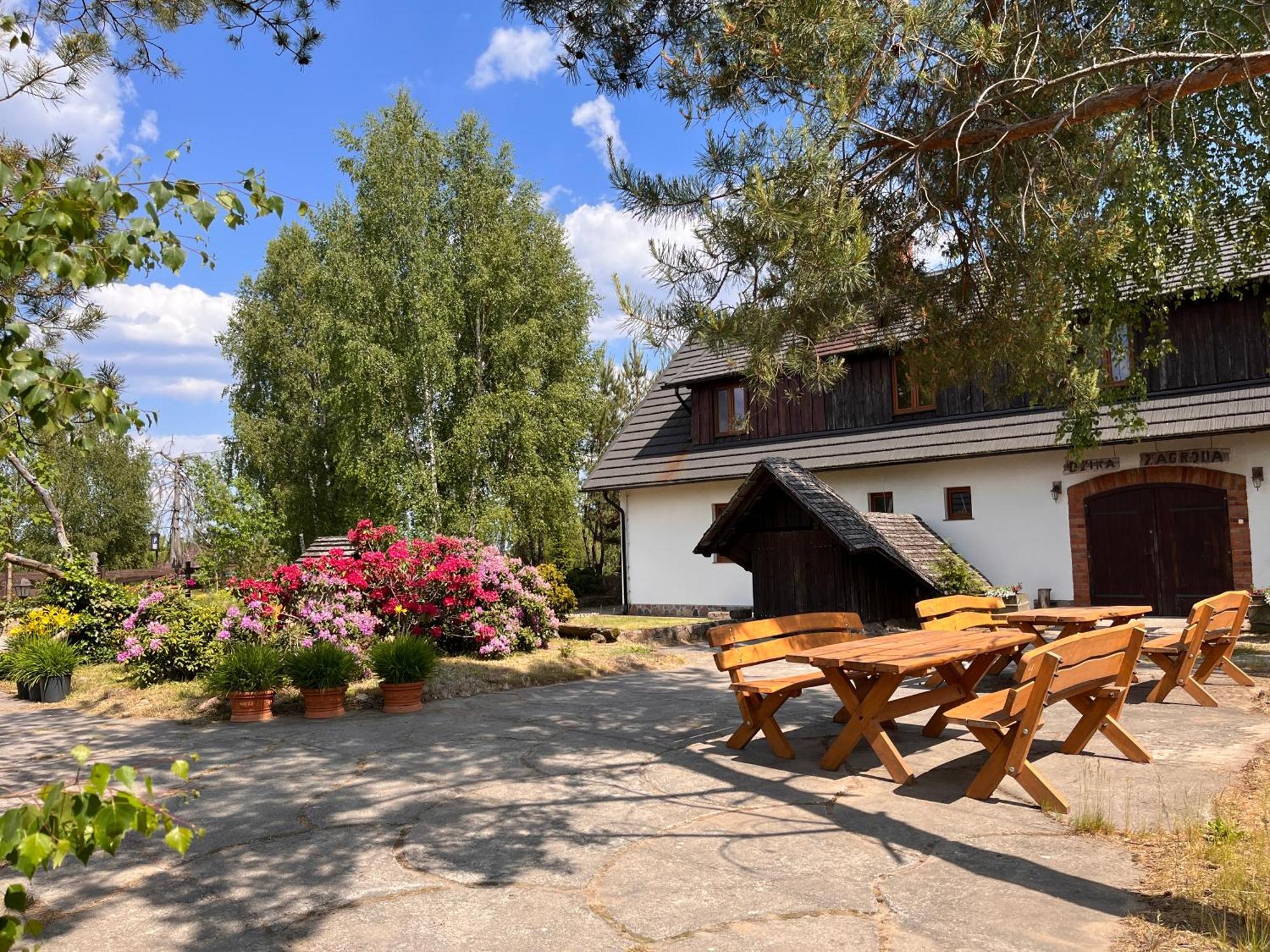Dzika Zagroda Dziemiany Extérieur photo