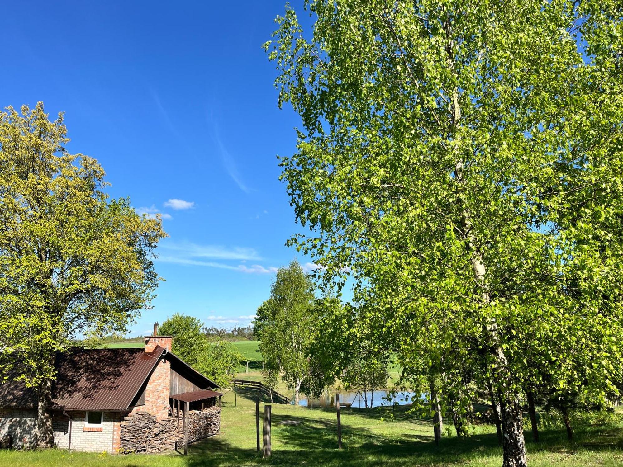 Dzika Zagroda Dziemiany Extérieur photo
