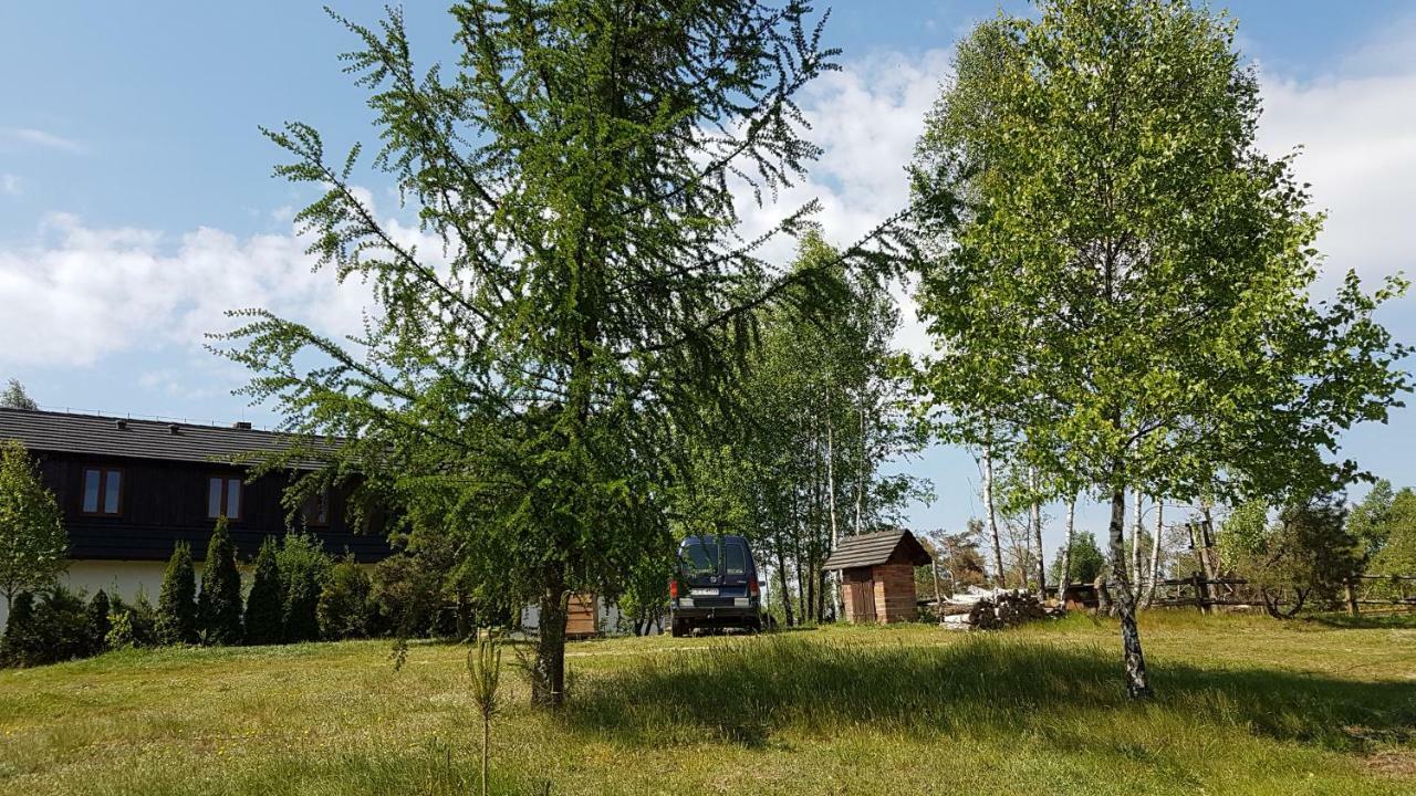 Dzika Zagroda Dziemiany Extérieur photo